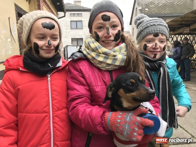 Zdjęcie w galerii na portalu naszraciborz.pl: Młoda para, małpice, misie i kominiarz. Samborowicki tanzbär na koniec karnawału  wiadomości z regionu