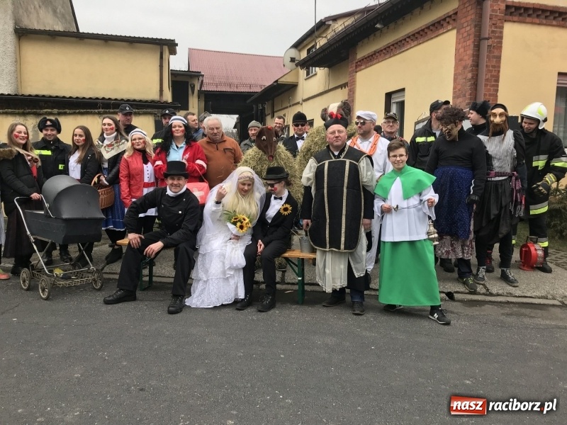 Zdjęcie w galerii na portalu naszraciborz.pl: Młoda para, małpice, misie i kominiarz. Samborowicki tanzbär na koniec karnawału  wiadomości z regionu