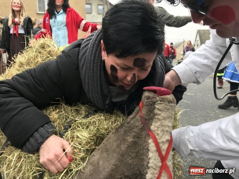 Zdjęcie w galerii na portalu naszraciborz.pl: Młoda para, małpice, misie i kominiarz. Samborowicki tanzbär na koniec karnawału  wiadomości z regionu