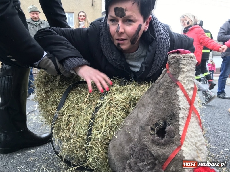 Zdjęcie w galerii na portalu naszraciborz.pl: Młoda para, małpice, misie i kominiarz. Samborowicki tanzbär na koniec karnawału  wiadomości z regionu