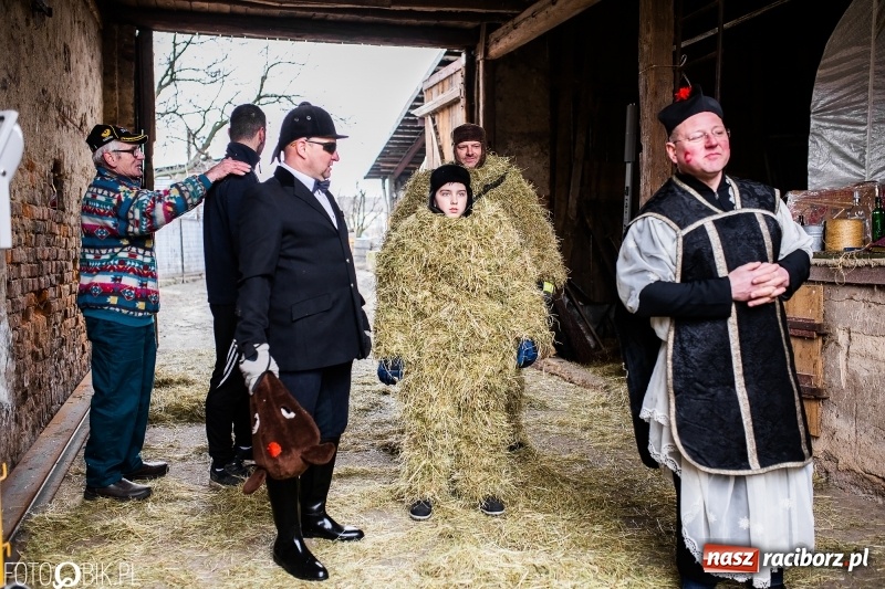 Zdjęcie w galerii na portalu naszraciborz.pl: Młoda para, małpice, misie i kominiarz. Samborowicki tanzbär na koniec karnawału  wiadomości z regionu