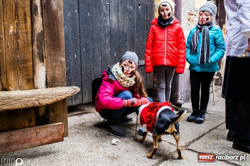 Zdjęcie w galerii na portalu naszraciborz.pl: Młoda para, małpice, misie i kominiarz. Samborowicki tanzbär na koniec karnawału  wiadomości z regionu