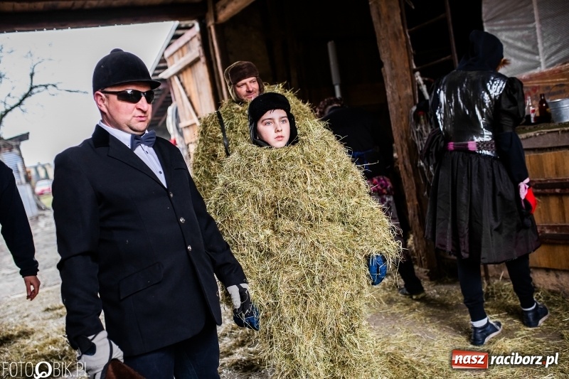 Zdjęcie w galerii na portalu naszraciborz.pl: Młoda para, małpice, misie i kominiarz. Samborowicki tanzbär na koniec karnawału  wiadomości z regionu