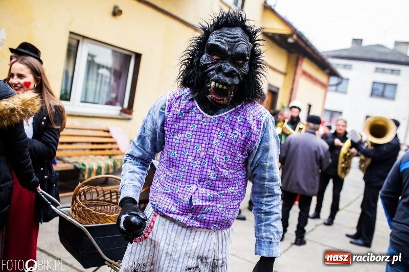 Zdjęcie w galerii na portalu naszraciborz.pl: Młoda para, małpice, misie i kominiarz. Samborowicki tanzbär na koniec karnawału  wiadomości z regionu