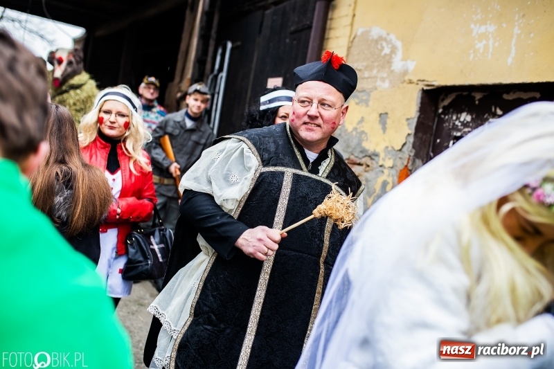 Zdjęcie w galerii na portalu naszraciborz.pl: Młoda para, małpice, misie i kominiarz. Samborowicki tanzbär na koniec karnawału  wiadomości z regionu