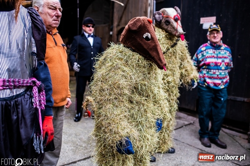 Zdjęcie w galerii na portalu naszraciborz.pl: Młoda para, małpice, misie i kominiarz. Samborowicki tanzbär na koniec karnawału  wiadomości z regionu