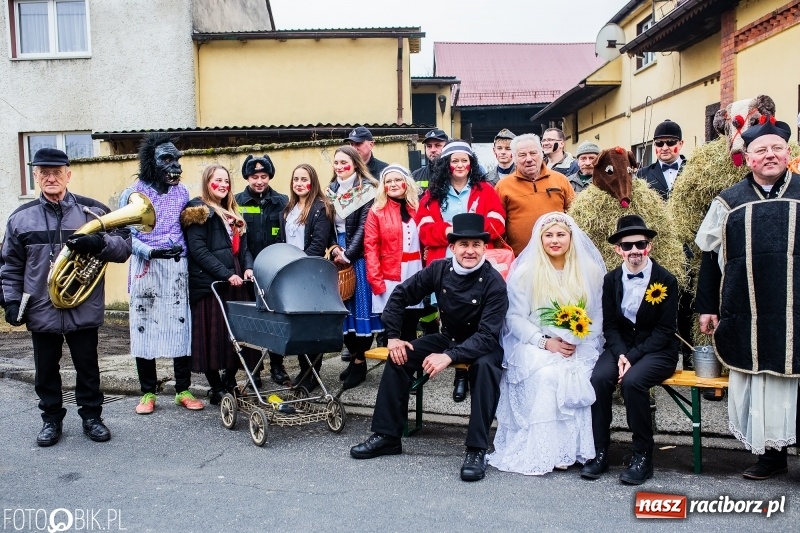 Zdjęcie w galerii na portalu naszraciborz.pl: Młoda para, małpice, misie i kominiarz. Samborowicki tanzbär na koniec karnawału  wiadomości z regionu