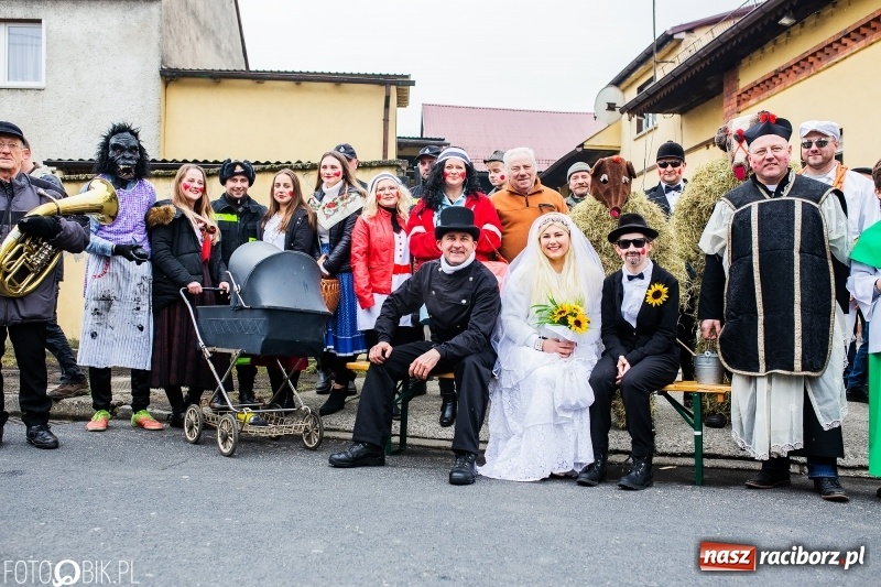 Zdjęcie w galerii na portalu naszraciborz.pl: Młoda para, małpice, misie i kominiarz. Samborowicki tanzbär na koniec karnawału  wiadomości z regionu