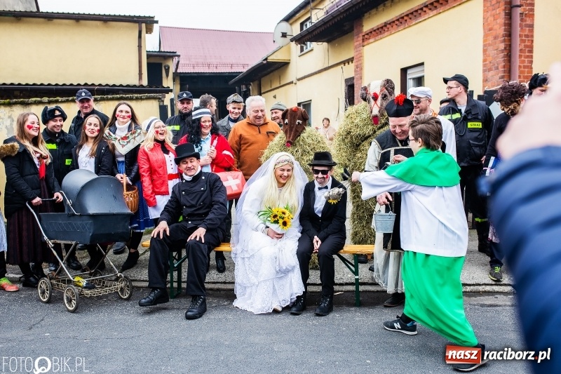 Zdjęcie w galerii na portalu naszraciborz.pl: Młoda para, małpice, misie i kominiarz. Samborowicki tanzbär na koniec karnawału  wiadomości z regionu