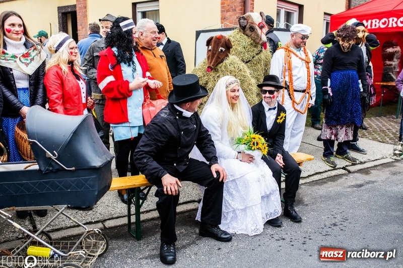 Zdjęcie w galerii na portalu naszraciborz.pl: Młoda para, małpice, misie i kominiarz. Samborowicki tanzbär na koniec karnawału  wiadomości z regionu