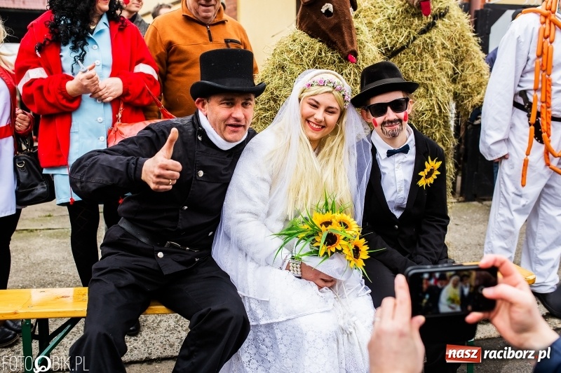 Zdjęcie w galerii na portalu naszraciborz.pl: Młoda para, małpice, misie i kominiarz. Samborowicki tanzbär na koniec karnawału  wiadomości z regionu