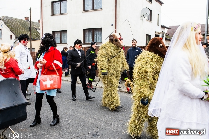 Zdjęcie w galerii na portalu naszraciborz.pl: Młoda para, małpice, misie i kominiarz. Samborowicki tanzbär na koniec karnawału  wiadomości z regionu