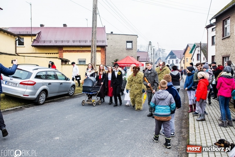 Zdjęcie w galerii na portalu naszraciborz.pl: Młoda para, małpice, misie i kominiarz. Samborowicki tanzbär na koniec karnawału  wiadomości z regionu