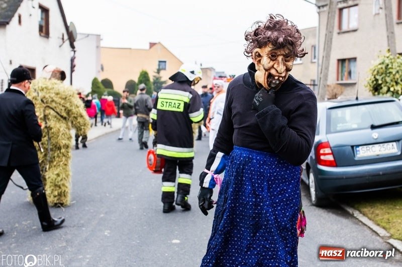 Zdjęcie w galerii na portalu naszraciborz.pl: Młoda para, małpice, misie i kominiarz. Samborowicki tanzbär na koniec karnawału  wiadomości z regionu