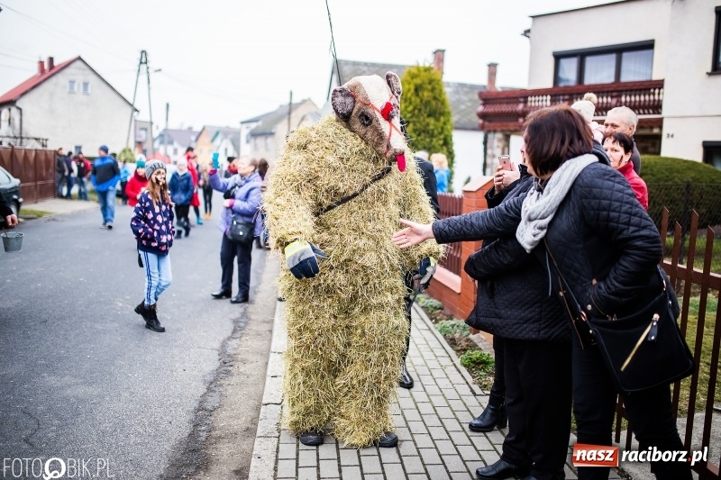 Zdjęcie w galerii na portalu naszraciborz.pl: Młoda para, małpice, misie i kominiarz. Samborowicki tanzbär na koniec karnawału  wiadomości z regionu