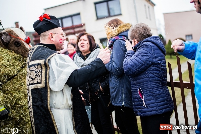 Zdjęcie w galerii na portalu naszraciborz.pl: Młoda para, małpice, misie i kominiarz. Samborowicki tanzbär na koniec karnawału  wiadomości z regionu