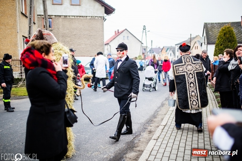 Zdjęcie w galerii na portalu naszraciborz.pl: Młoda para, małpice, misie i kominiarz. Samborowicki tanzbär na koniec karnawału  wiadomości z regionu