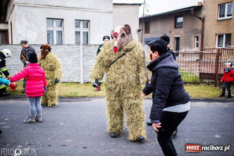 Zdjęcie w galerii na portalu naszraciborz.pl: Młoda para, małpice, misie i kominiarz. Samborowicki tanzbär na koniec karnawału  wiadomości z regionu