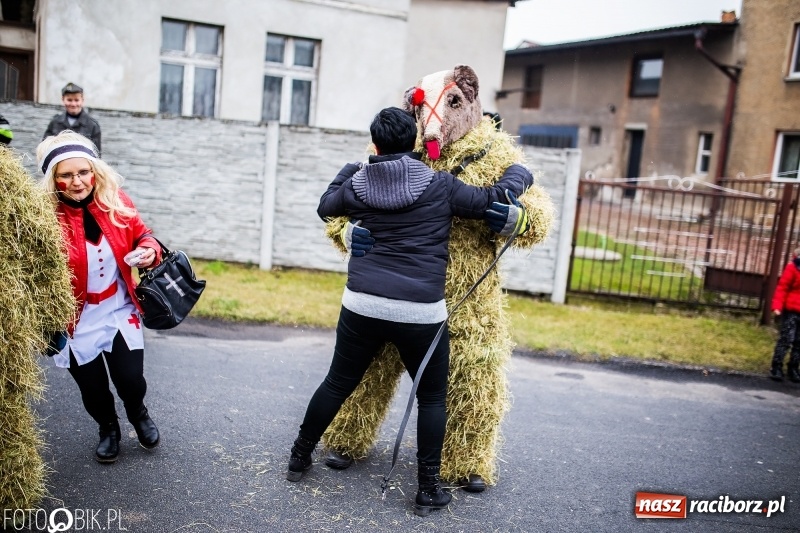 Zdjęcie w galerii na portalu naszraciborz.pl: Młoda para, małpice, misie i kominiarz. Samborowicki tanzbär na koniec karnawału  wiadomości z regionu