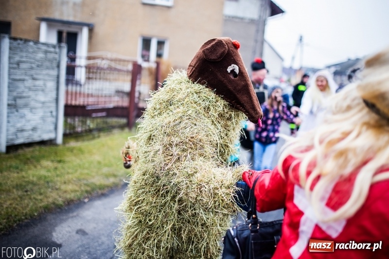 Zdjęcie w galerii na portalu naszraciborz.pl: Młoda para, małpice, misie i kominiarz. Samborowicki tanzbär na koniec karnawału  wiadomości z regionu