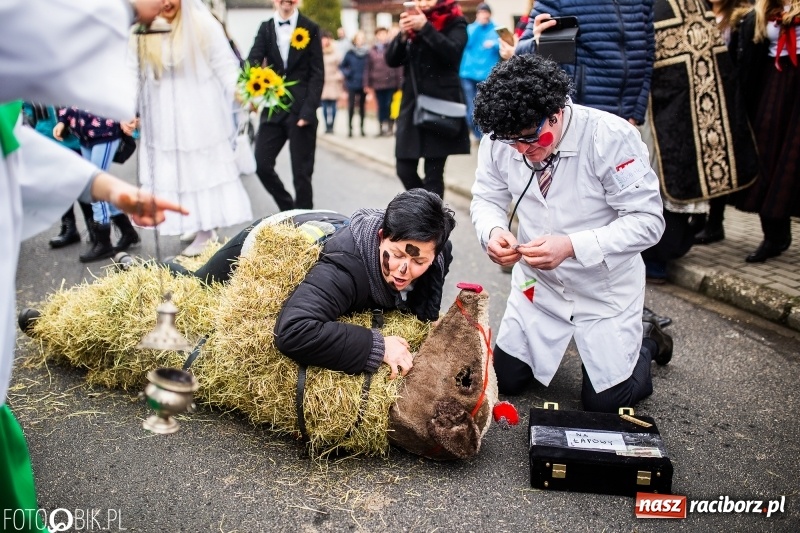 Zdjęcie w galerii na portalu naszraciborz.pl: Młoda para, małpice, misie i kominiarz. Samborowicki tanzbär na koniec karnawału  wiadomości z regionu