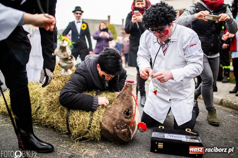 Zdjęcie w galerii na portalu naszraciborz.pl: Młoda para, małpice, misie i kominiarz. Samborowicki tanzbär na koniec karnawału  wiadomości z regionu