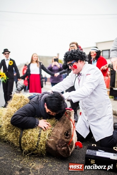 Zdjęcie w galerii na portalu naszraciborz.pl: Młoda para, małpice, misie i kominiarz. Samborowicki tanzbär na koniec karnawału  wiadomości z regionu
