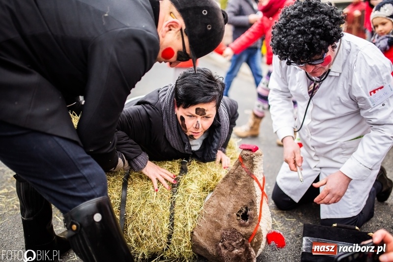 Zdjęcie w galerii na portalu naszraciborz.pl: Młoda para, małpice, misie i kominiarz. Samborowicki tanzbär na koniec karnawału  wiadomości z regionu