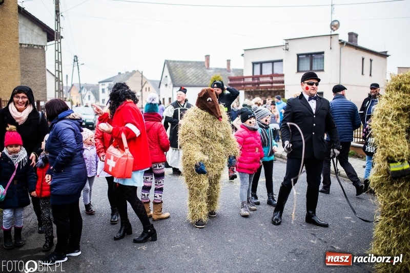 Zdjęcie w galerii na portalu naszraciborz.pl: Młoda para, małpice, misie i kominiarz. Samborowicki tanzbär na koniec karnawału  wiadomości z regionu