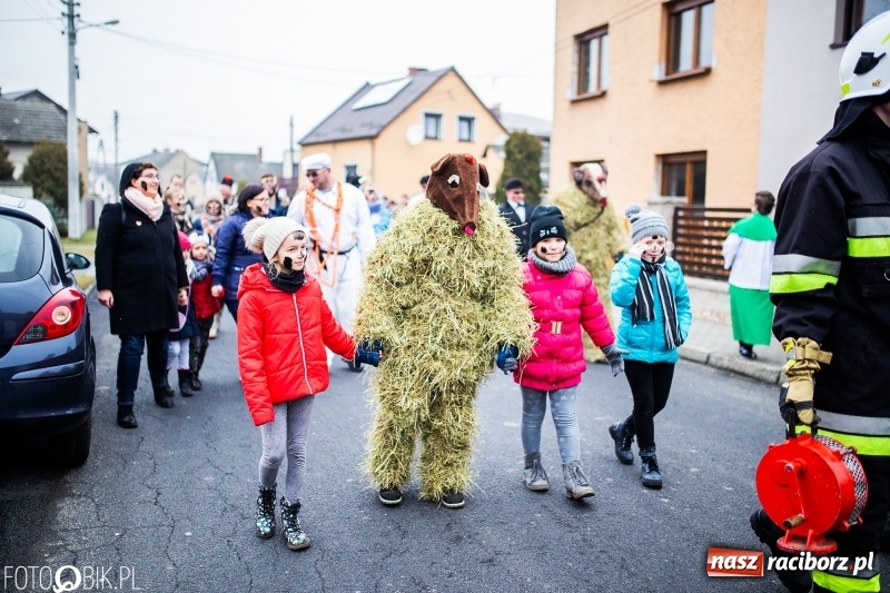 Zdjęcie w galerii na portalu naszraciborz.pl: Młoda para, małpice, misie i kominiarz. Samborowicki tanzbär na koniec karnawału  wiadomości z regionu
