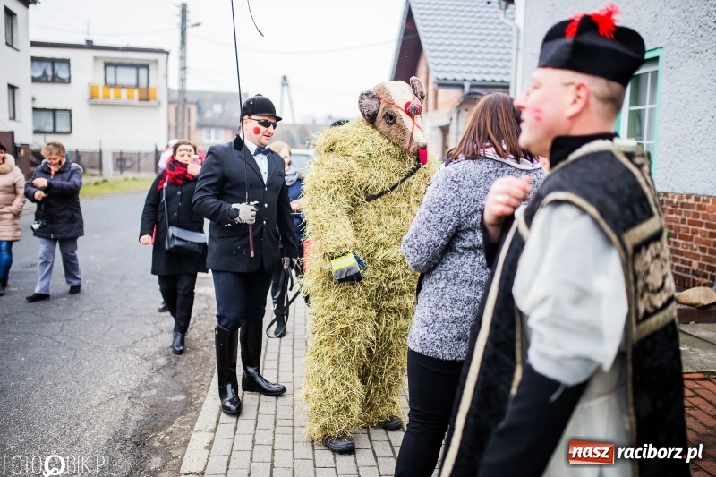 Zdjęcie w galerii na portalu naszraciborz.pl: Młoda para, małpice, misie i kominiarz. Samborowicki tanzbär na koniec karnawału  wiadomości z regionu