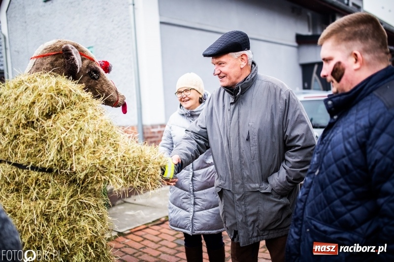 Zdjęcie w galerii na portalu naszraciborz.pl: Młoda para, małpice, misie i kominiarz. Samborowicki tanzbär na koniec karnawału  wiadomości z regionu