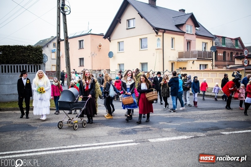 Zdjęcie w galerii na portalu naszraciborz.pl: Młoda para, małpice, misie i kominiarz. Samborowicki tanzbär na koniec karnawału  wiadomości z regionu