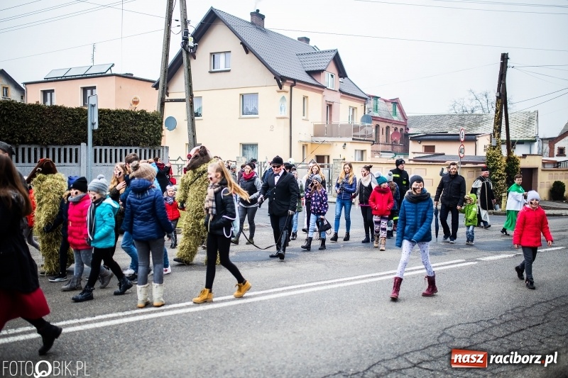 Zdjęcie w galerii na portalu naszraciborz.pl: Młoda para, małpice, misie i kominiarz. Samborowicki tanzbär na koniec karnawału  wiadomości z regionu
