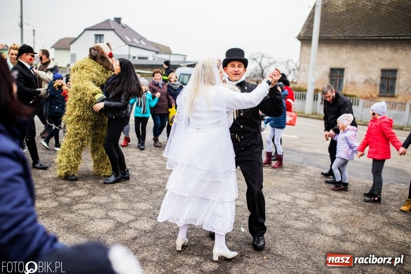Zdjęcie w galerii na portalu naszraciborz.pl: Młoda para, małpice, misie i kominiarz. Samborowicki tanzbär na koniec karnawału  wiadomości z regionu