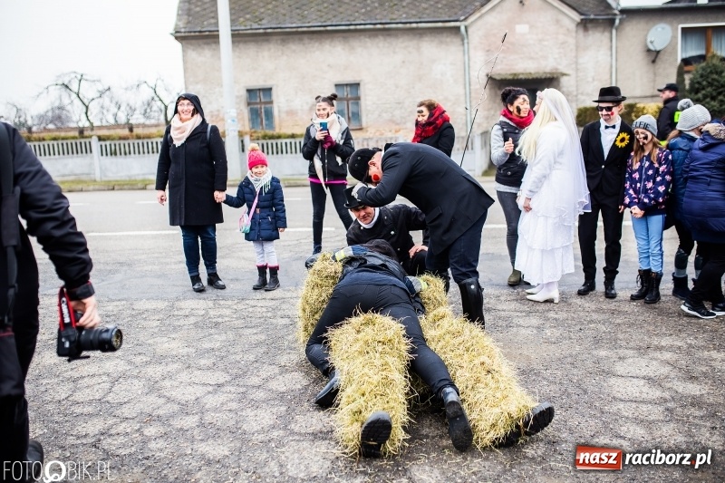 Zdjęcie w galerii na portalu naszraciborz.pl: Młoda para, małpice, misie i kominiarz. Samborowicki tanzbär na koniec karnawału  wiadomości z regionu