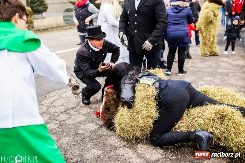 Zdjęcie w galerii na portalu naszraciborz.pl: Młoda para, małpice, misie i kominiarz. Samborowicki tanzbär na koniec karnawału  wiadomości z regionu