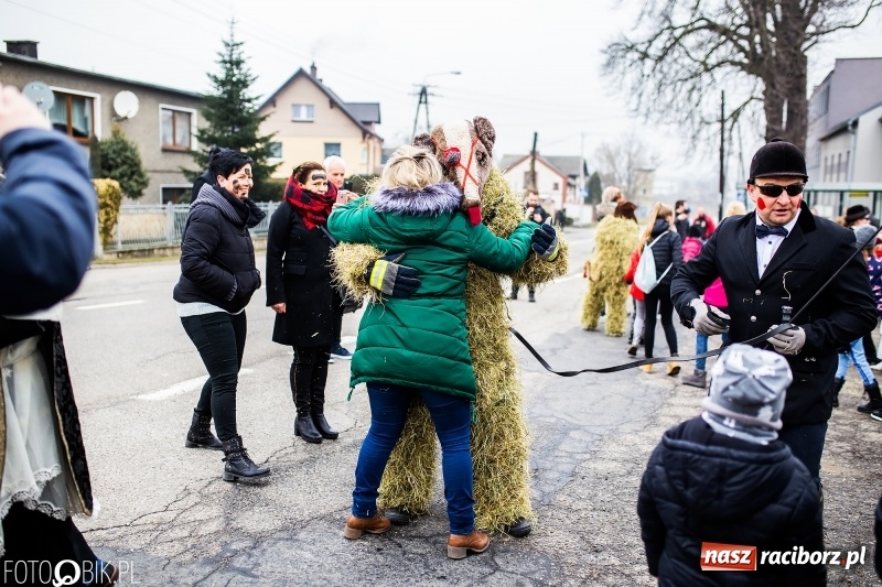 Zdjęcie w galerii na portalu naszraciborz.pl: Młoda para, małpice, misie i kominiarz. Samborowicki tanzbär na koniec karnawału  wiadomości z regionu