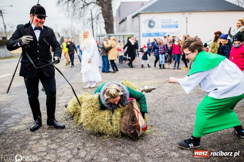 Zdjęcie w galerii na portalu naszraciborz.pl: Młoda para, małpice, misie i kominiarz. Samborowicki tanzbär na koniec karnawału  wiadomości z regionu