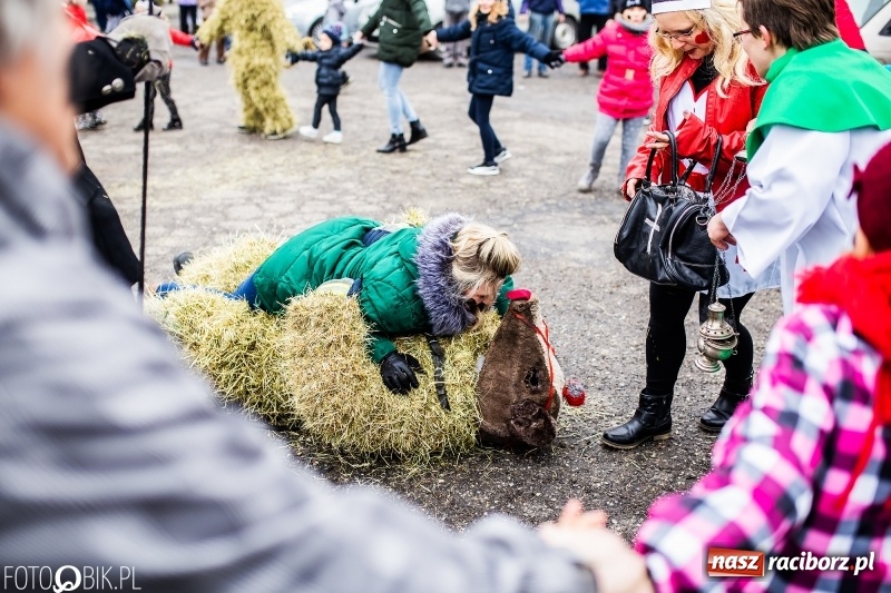 Zdjęcie w galerii na portalu naszraciborz.pl: Młoda para, małpice, misie i kominiarz. Samborowicki tanzbär na koniec karnawału  wiadomości z regionu