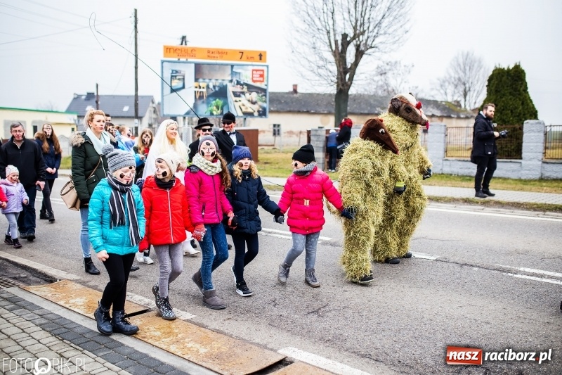 Zdjęcie w galerii na portalu naszraciborz.pl: Młoda para, małpice, misie i kominiarz. Samborowicki tanzbär na koniec karnawału  wiadomości z regionu