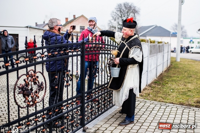Zdjęcie w galerii na portalu naszraciborz.pl: Młoda para, małpice, misie i kominiarz. Samborowicki tanzbär na koniec karnawału  wiadomości z regionu