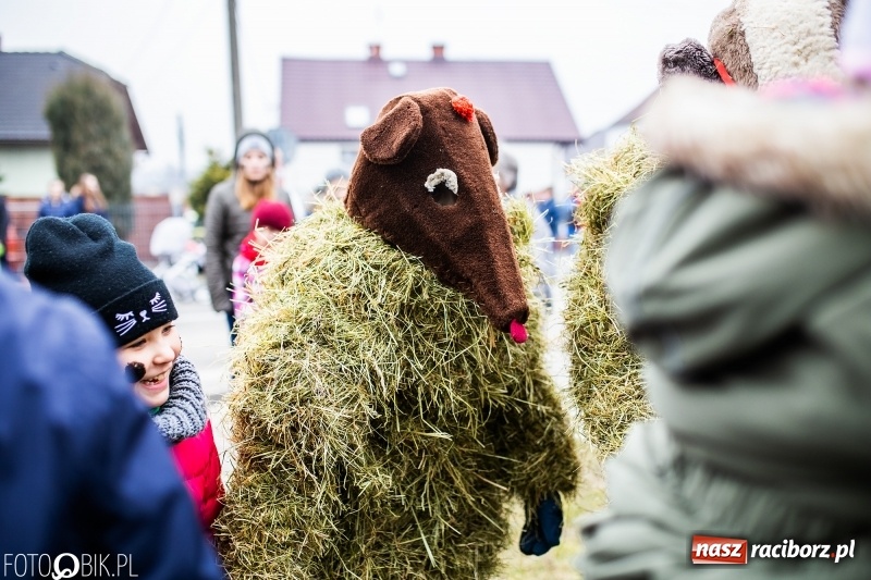 Zdjęcie w galerii na portalu naszraciborz.pl: Młoda para, małpice, misie i kominiarz. Samborowicki tanzbär na koniec karnawału  wiadomości z regionu