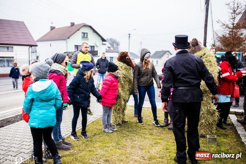 Zdjęcie w galerii na portalu naszraciborz.pl: Młoda para, małpice, misie i kominiarz. Samborowicki tanzbär na koniec karnawału  wiadomości z regionu
