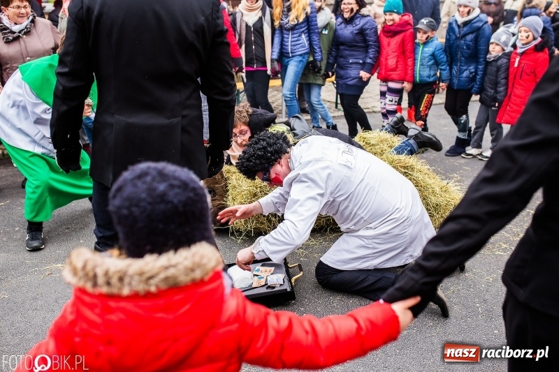 Zdjęcie w galerii na portalu naszraciborz.pl: Młoda para, małpice, misie i kominiarz. Samborowicki tanzbär na koniec karnawału  wiadomości z regionu