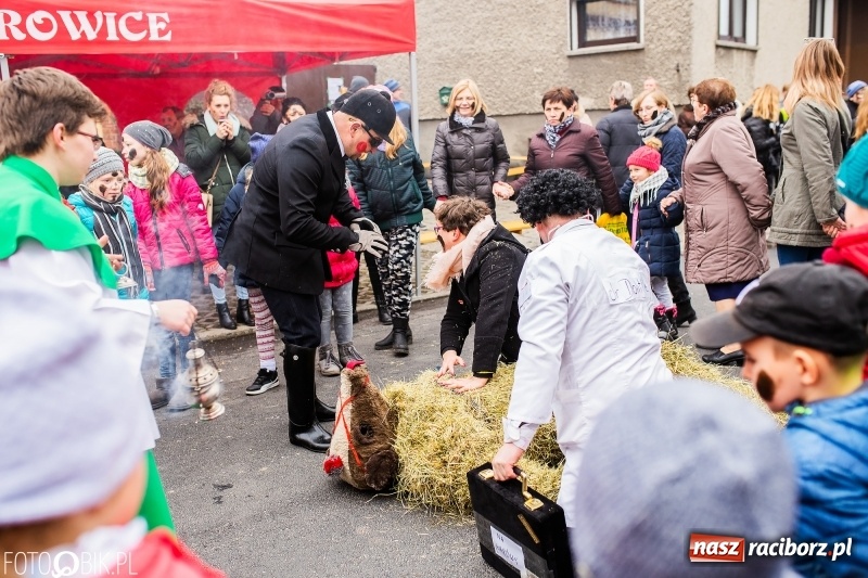 Zdjęcie w galerii na portalu naszraciborz.pl: Młoda para, małpice, misie i kominiarz. Samborowicki tanzbär na koniec karnawału  wiadomości z regionu