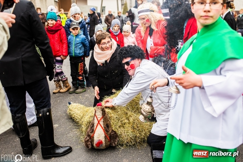 Zdjęcie w galerii na portalu naszraciborz.pl: Młoda para, małpice, misie i kominiarz. Samborowicki tanzbär na koniec karnawału  wiadomości z regionu