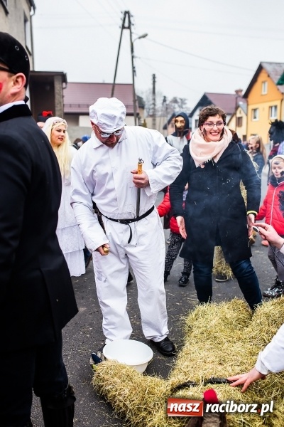 Zdjęcie w galerii na portalu naszraciborz.pl: Młoda para, małpice, misie i kominiarz. Samborowicki tanzbär na koniec karnawału  wiadomości z regionu
