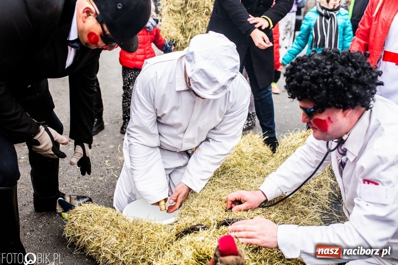 Zdjęcie w galerii na portalu naszraciborz.pl: Młoda para, małpice, misie i kominiarz. Samborowicki tanzbär na koniec karnawału  wiadomości z regionu