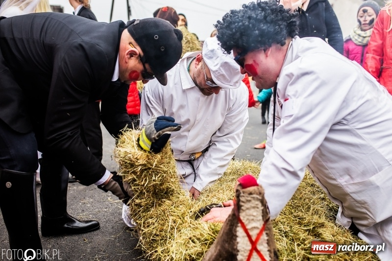 Zdjęcie w galerii na portalu naszraciborz.pl: Młoda para, małpice, misie i kominiarz. Samborowicki tanzbär na koniec karnawału  wiadomości z regionu